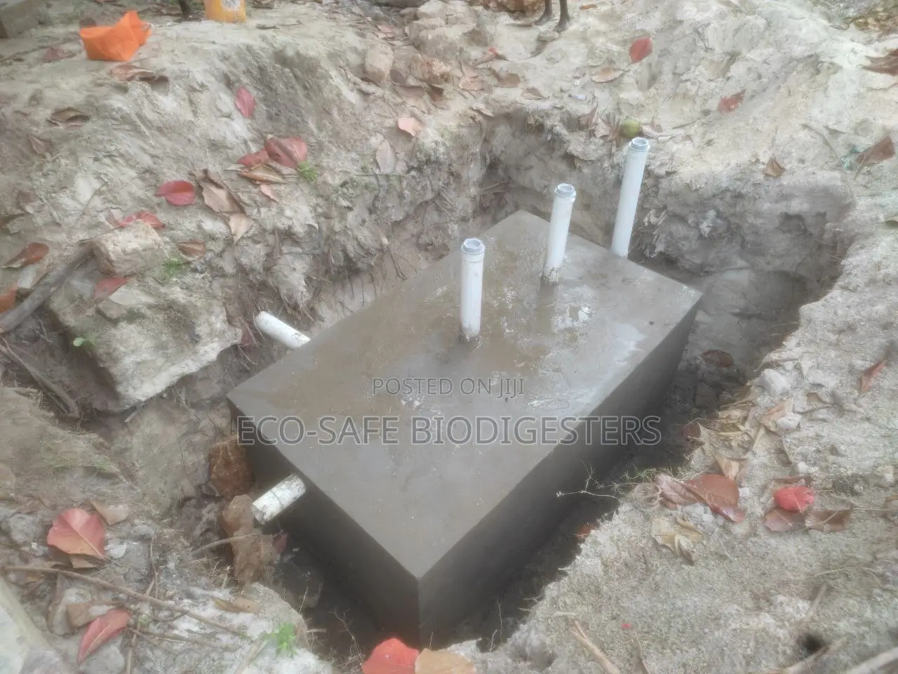 Biodigester Installation Services Biodigester Bacteria