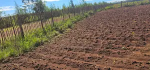 Plots for Sale in Marura Eldoret Opposite Terra