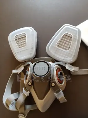 House Renovation Safety Mask
