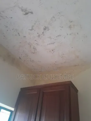 Damp Proof And Damage Wall Waterproofing And Other Services
