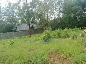 50 by 100 Plots on Sale at Kenol-Kaggia Road