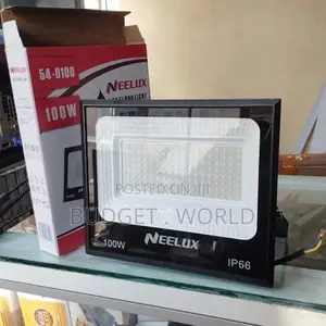100 Watts 100w Ac-Electric Floodlight Moderately Priced 100w