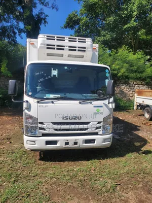 Isuzu Elf Hybrid, 2017, 3000cc, Automatic
