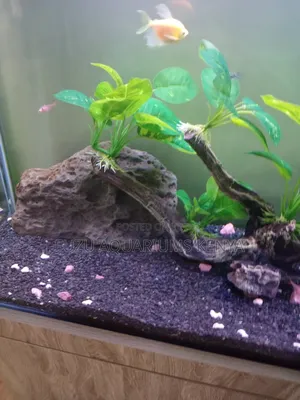 Black Gravel for Aquarium Fish Tank