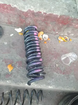 Toyota Filder Nze Rear Coil Springs and Front 
