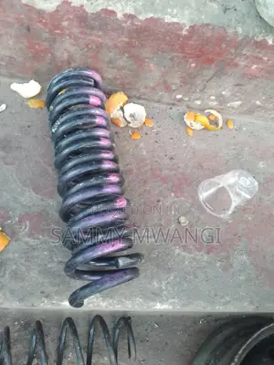 Nissan Serena and Note Murano Rear Coil Springs Ziko Poa