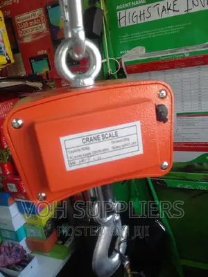 500kg Crane Scale