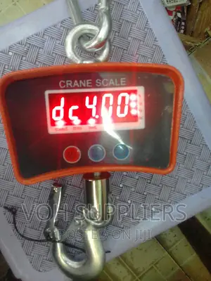 500kg Crane Scale
