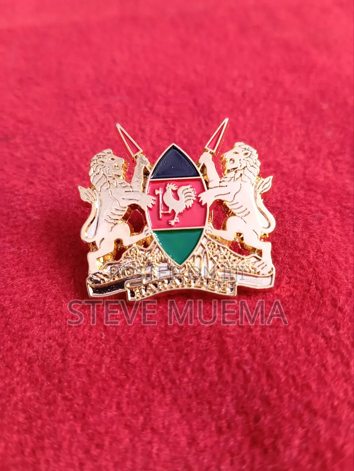 Coat of Arms Lapel Pin