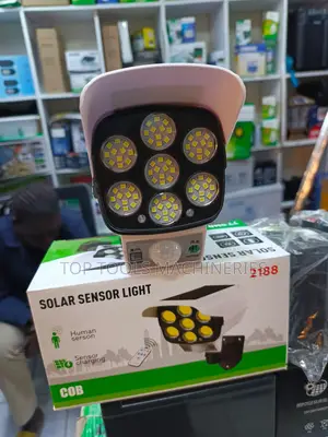 Solar Sensor Light at 1,500