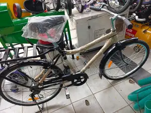Raleigh Black Mamba Bicycle