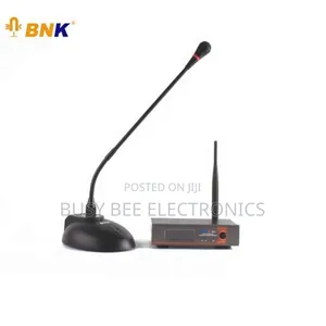 Single BNK Gooseneck Microphone