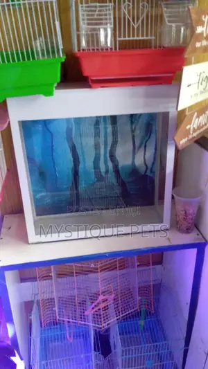 Small Aquarium