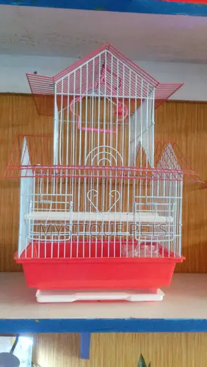 Budgies Cage
