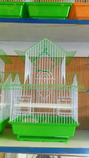 Budgies Cage