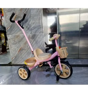 Kids Tricycle With Push (Pink)