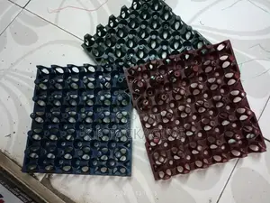 Ventilated Plastic (30pcs ) Trays