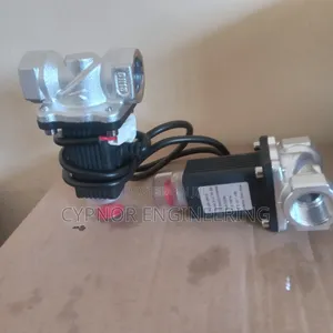 Dn 15 Solenoid Valve for LPG