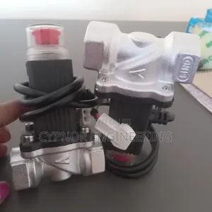 LPG Solenoid Valve Dn15