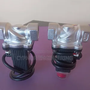 Effecient LPG Solenoid Valve Dn15
