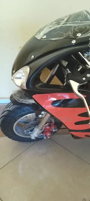 Adjustable Speed 49cc Kids Bike