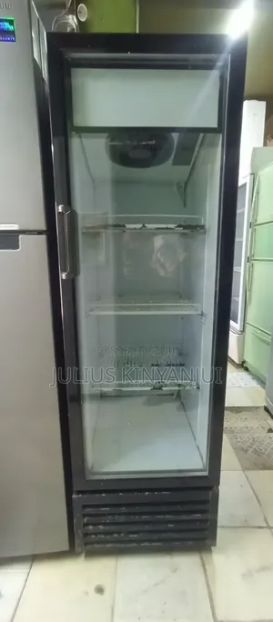 Display Fridge 300L