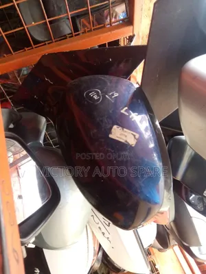 Murano Side Mirror 2008/2009