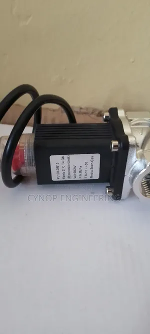 Efficient LPG Solenoid Valve DN15