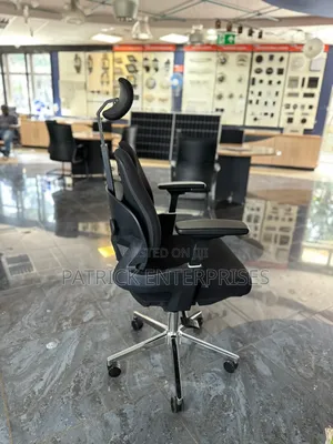 Executive Imported Orthopedic Office Chair