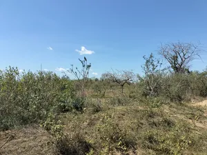 Kilifi 750 Acre Land on Sale