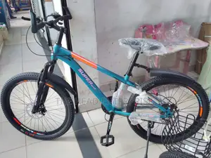 Size 24 Mountain Bike (Brand New)