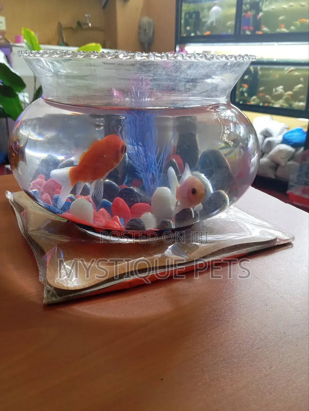 Fish Bowl With Fish