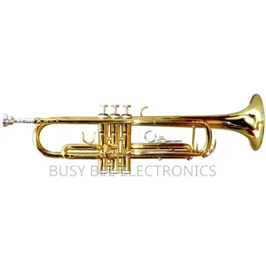 Trumpet With Case
