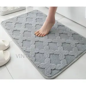 Bathroom Entrance Door Mat 