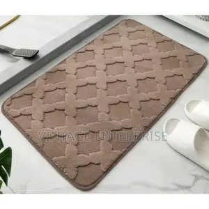 Bathroom Entrance Door Mat 