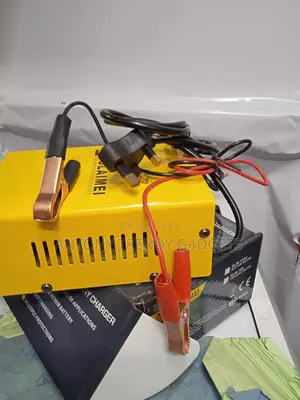 Bolamei Blm-168 Car Battery Charger 12/24v