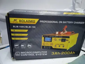 Bolamei 12/24v Battery Charger