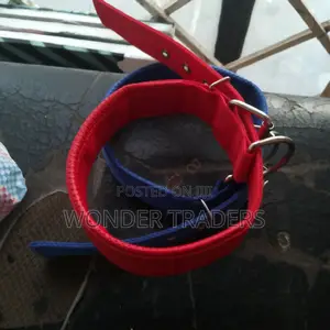 Dog Collar,"Dog Lease"