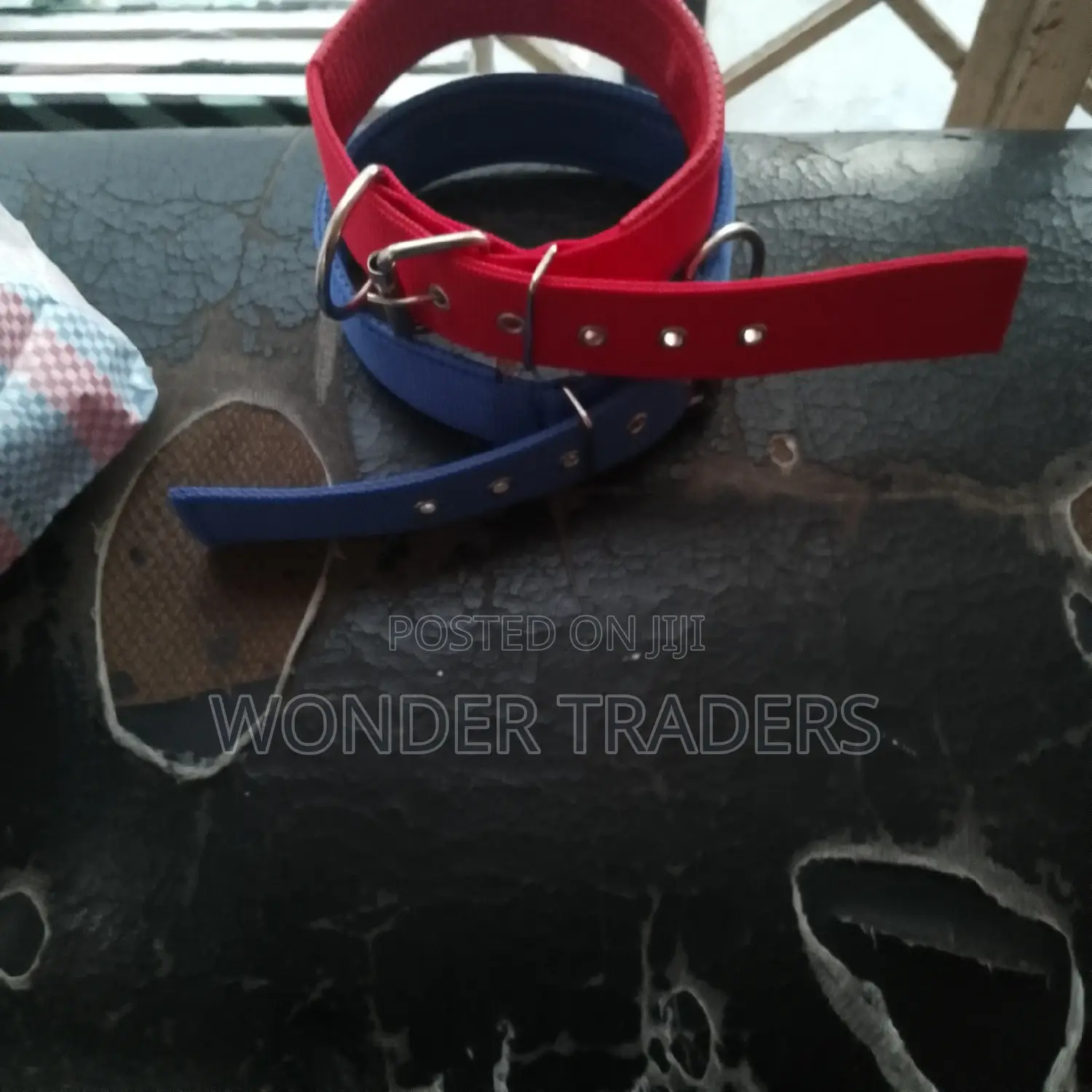 Dog Collar Brand New