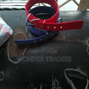 Dog Collar Brand New