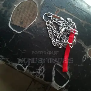Dog Chain Dog Chain Dog Chain
