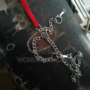 Dog Chain*Dog Chain *