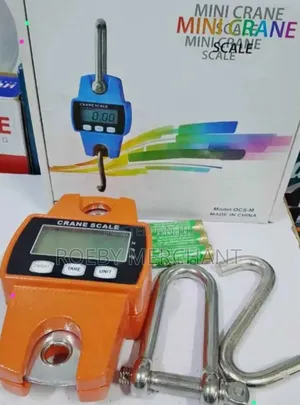Crane Scale
