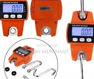 Digital Crane Scale 300kgs