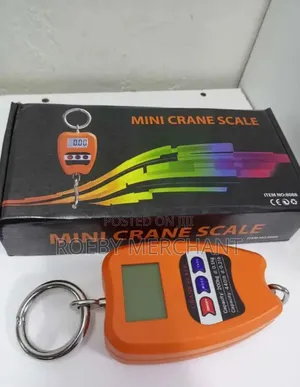 Digital Mini Crane Scale 200kgs