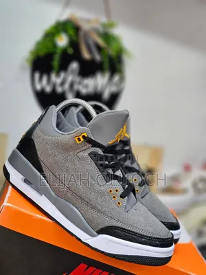 Air Jordan 3 Sneakers