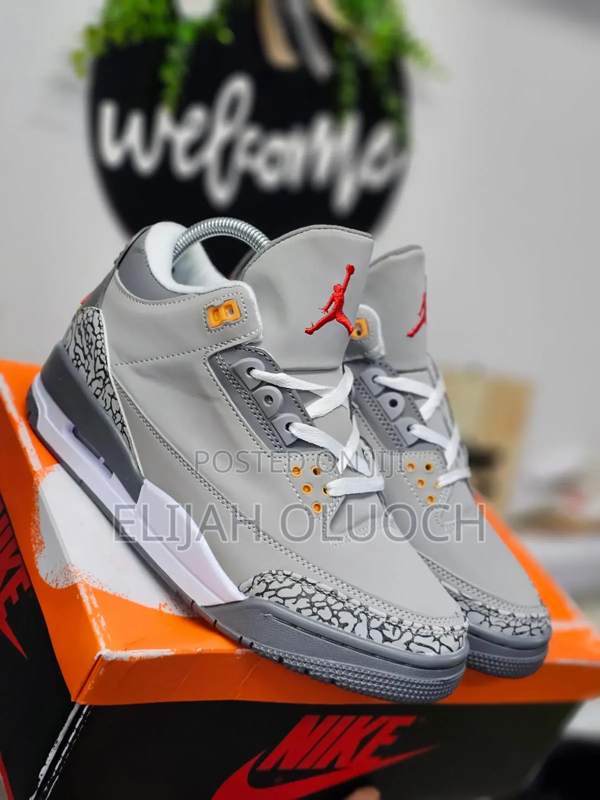 Air Jordan 3 Sneakers