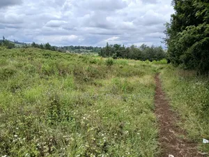 Near Half Acre (0.150ha) Redsoil in Upper Matasia, Kaurrai