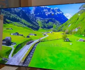 Tcl, 55 Inch Tv