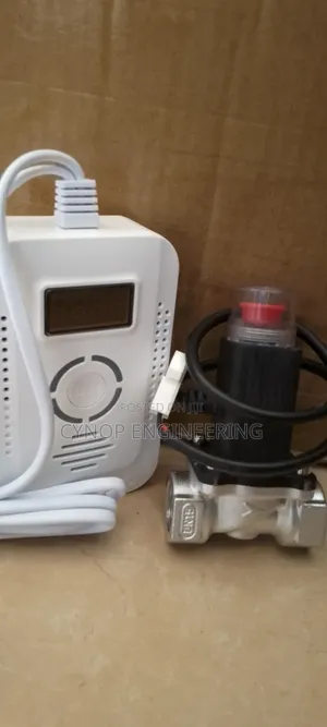 Kitchen Gas Leak Detector With Valve